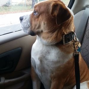 Meet your Posher, Stacey